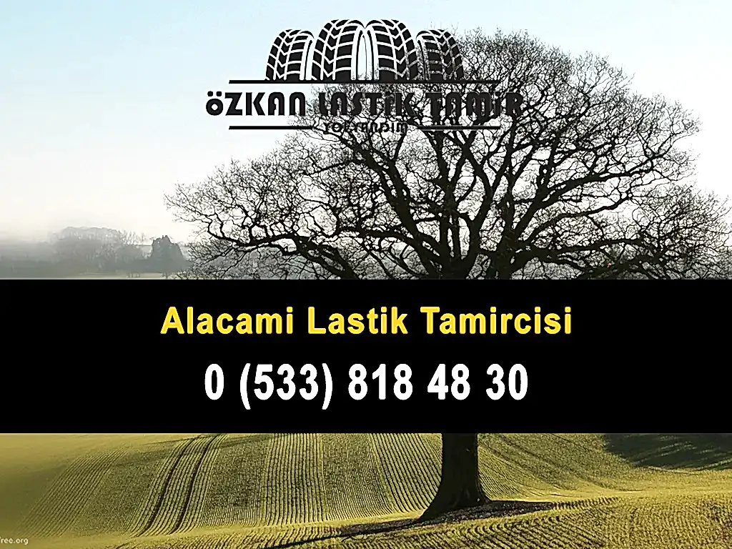 Alacami Lastik Tamircisi
