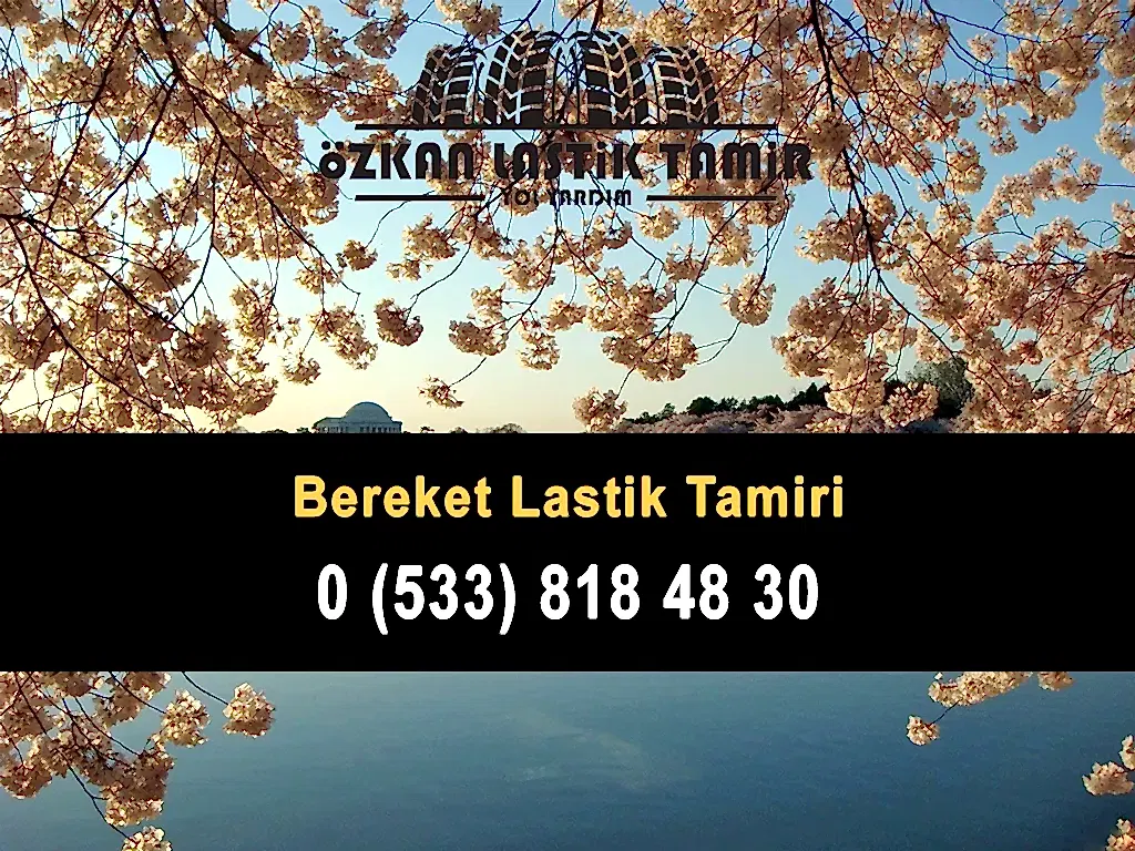 Bereket Lastik Tamiri