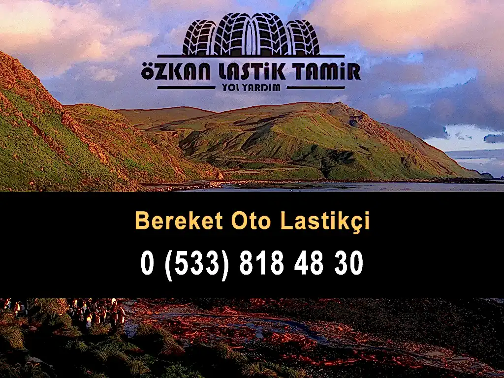 Bereket Oto Lastikçi