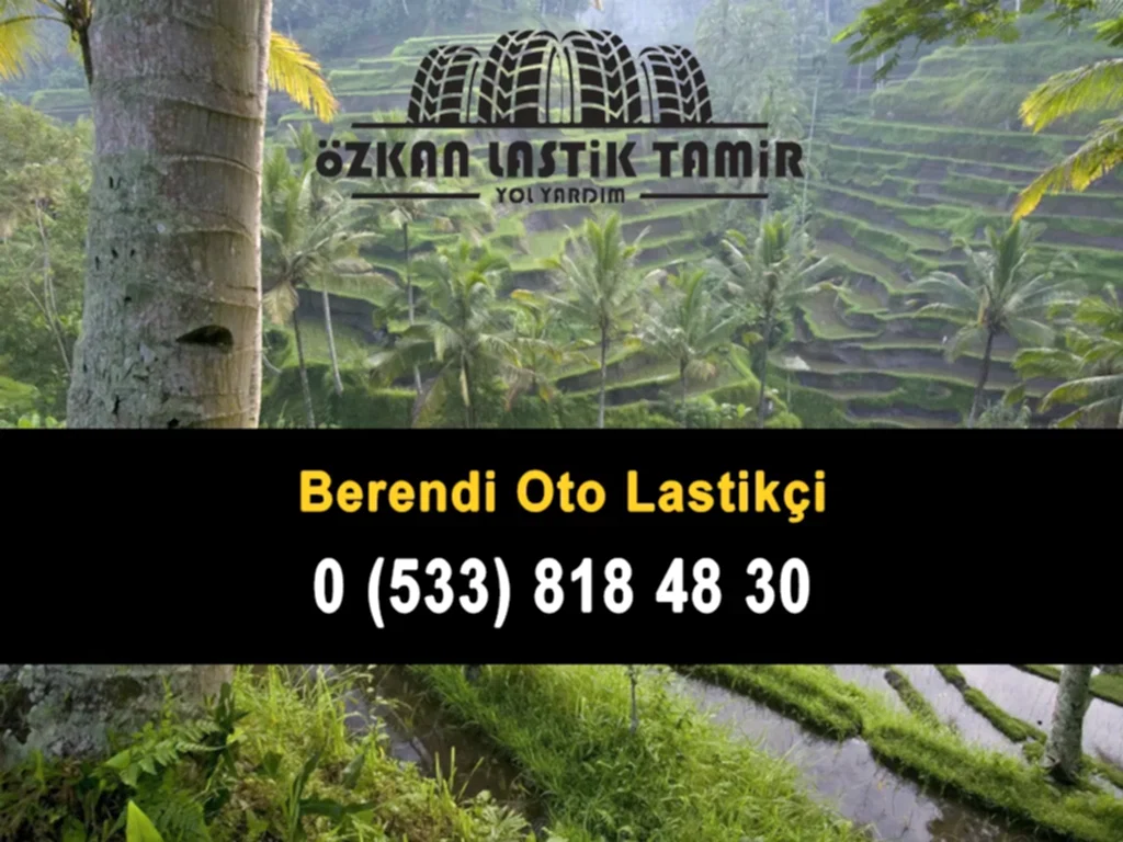 Berendi Oto Lastikçi