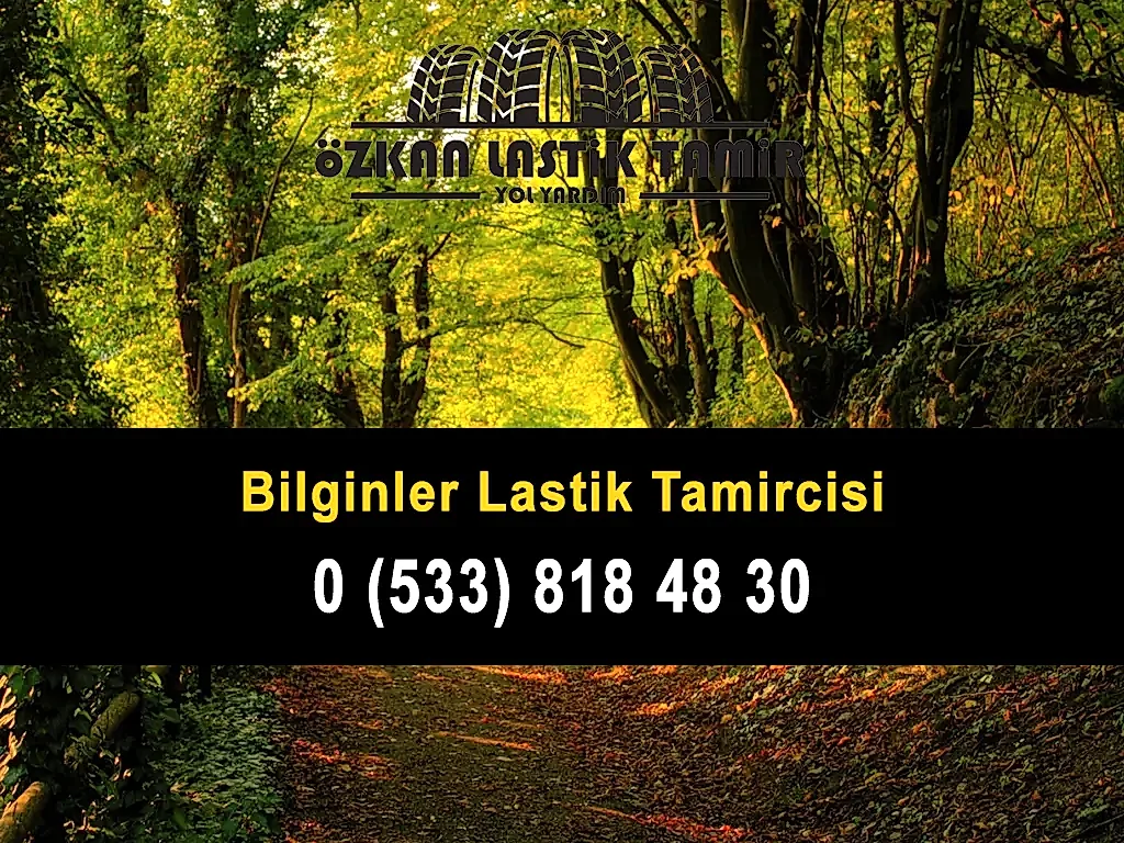 Bilginler Lastik Tamircisi