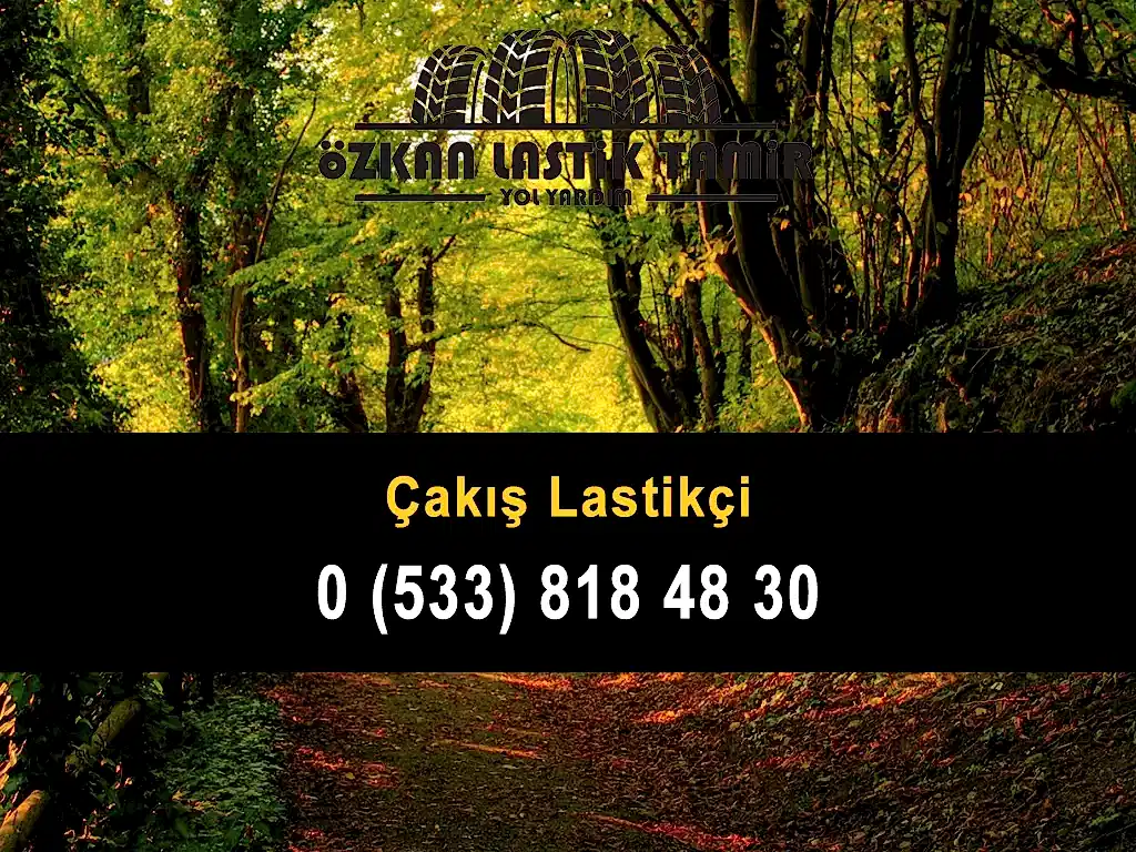Çakış Lastikçi