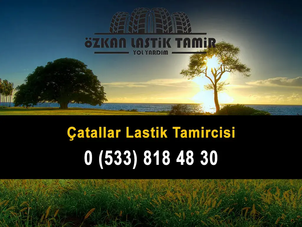 Çatallar Lastik Tamircisi
