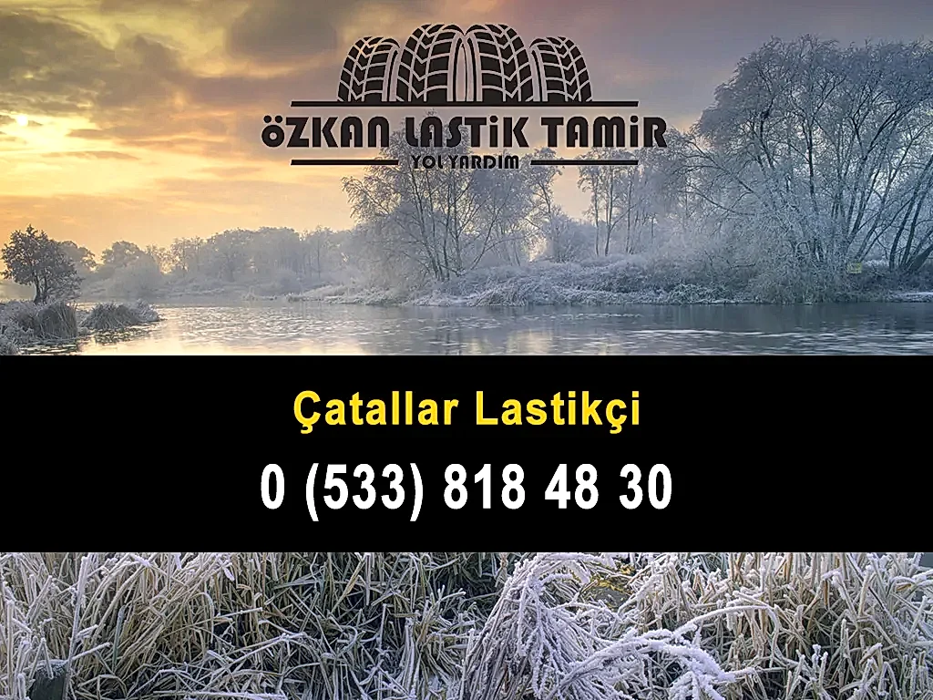 Çatallar Lastikçi