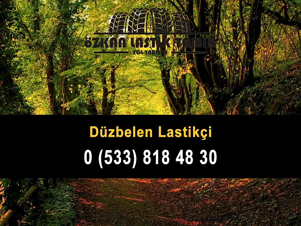 Düzbelen Lastikçi