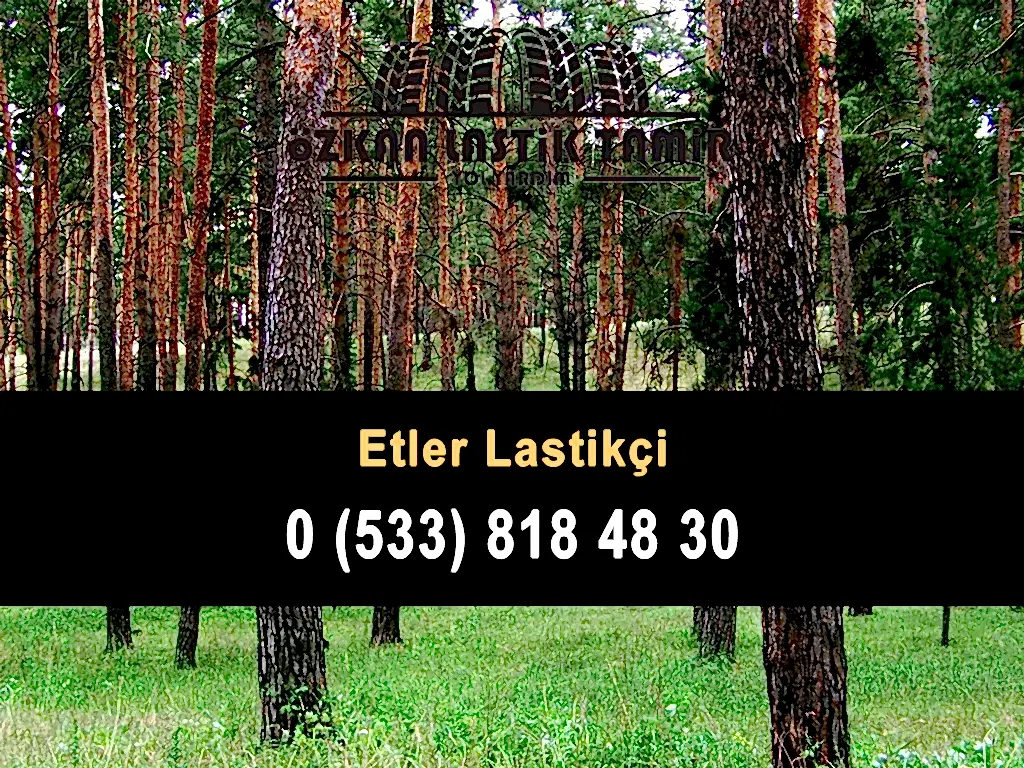 Etler Lastikçi