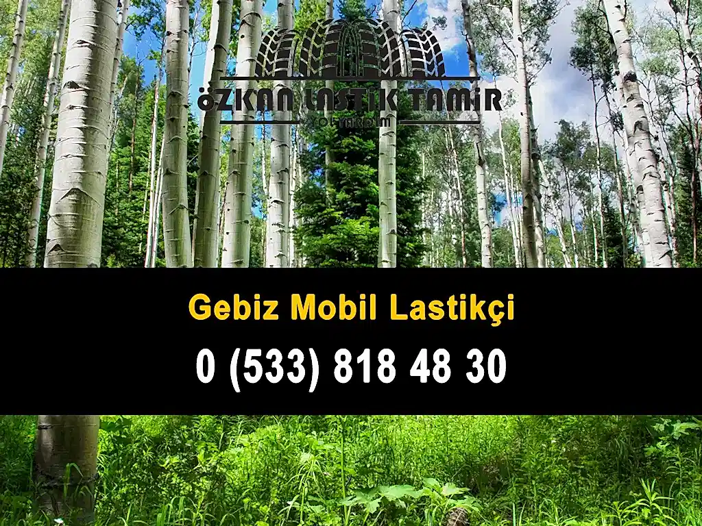 Gebiz Mobil Lastikçi