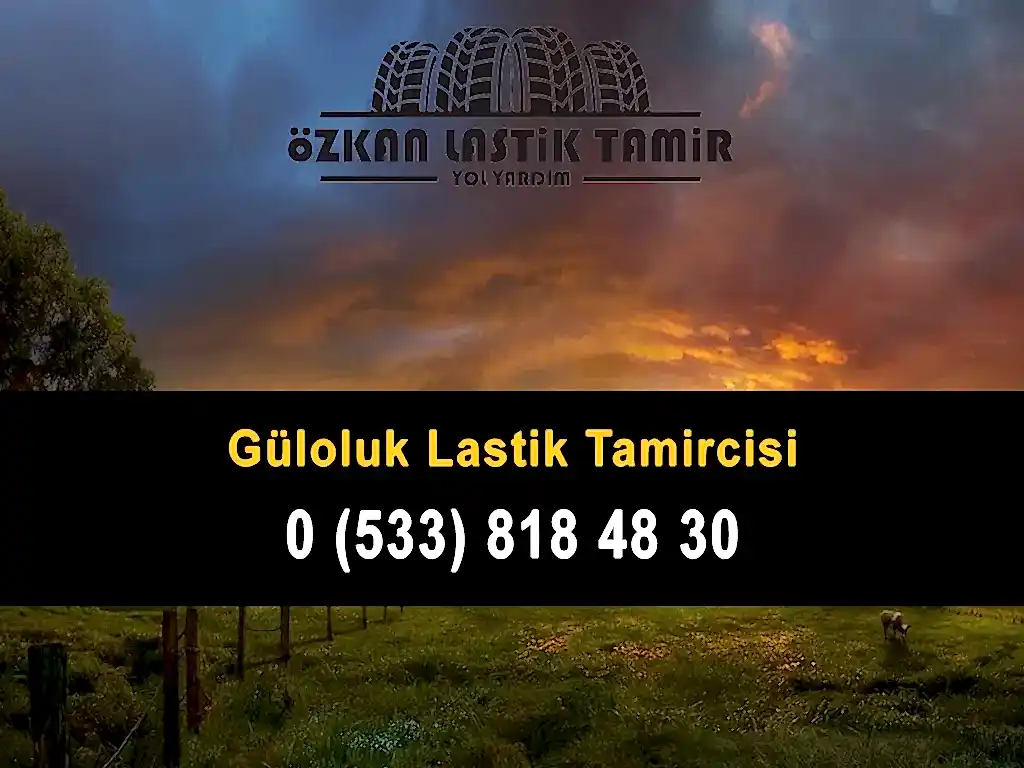 Güloluk Lastik Tamircisi