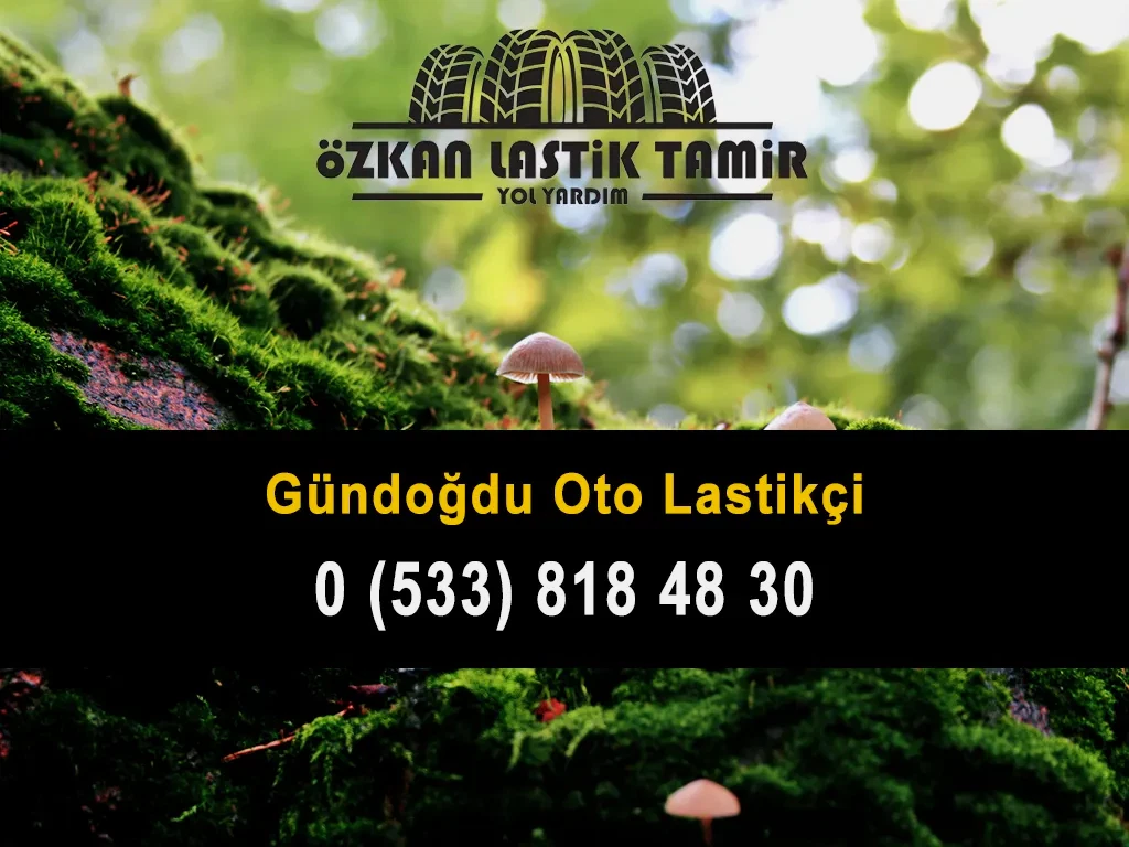 Gündoğdu Oto Lastikçi