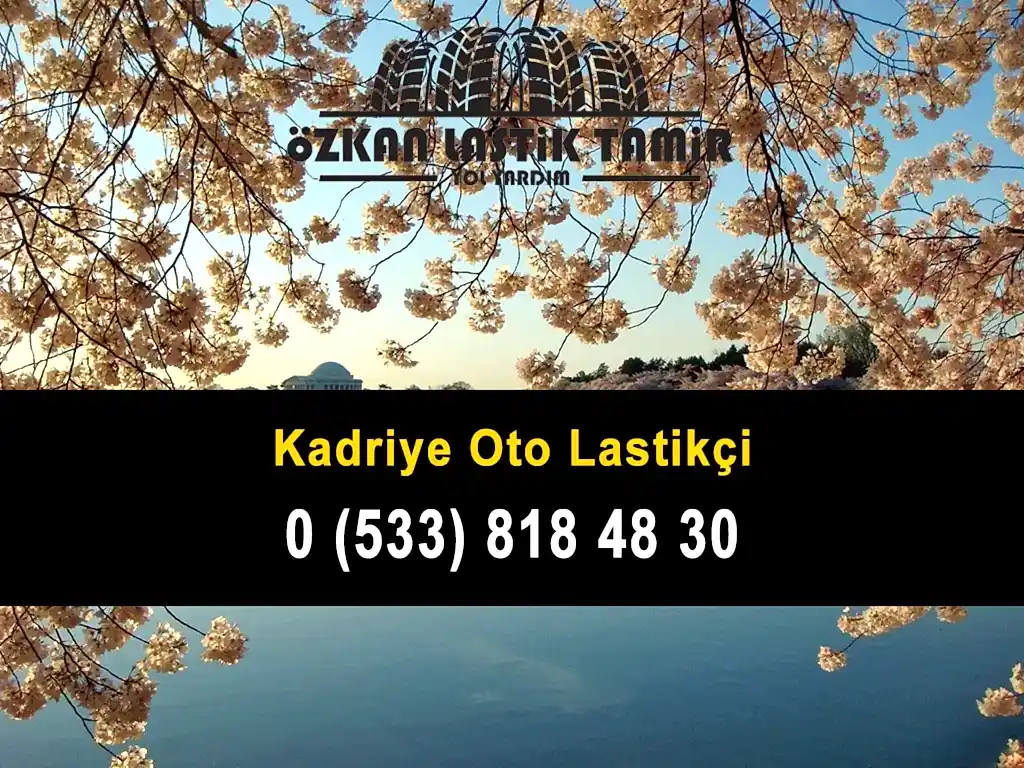 Kadriye Oto Lastikçi