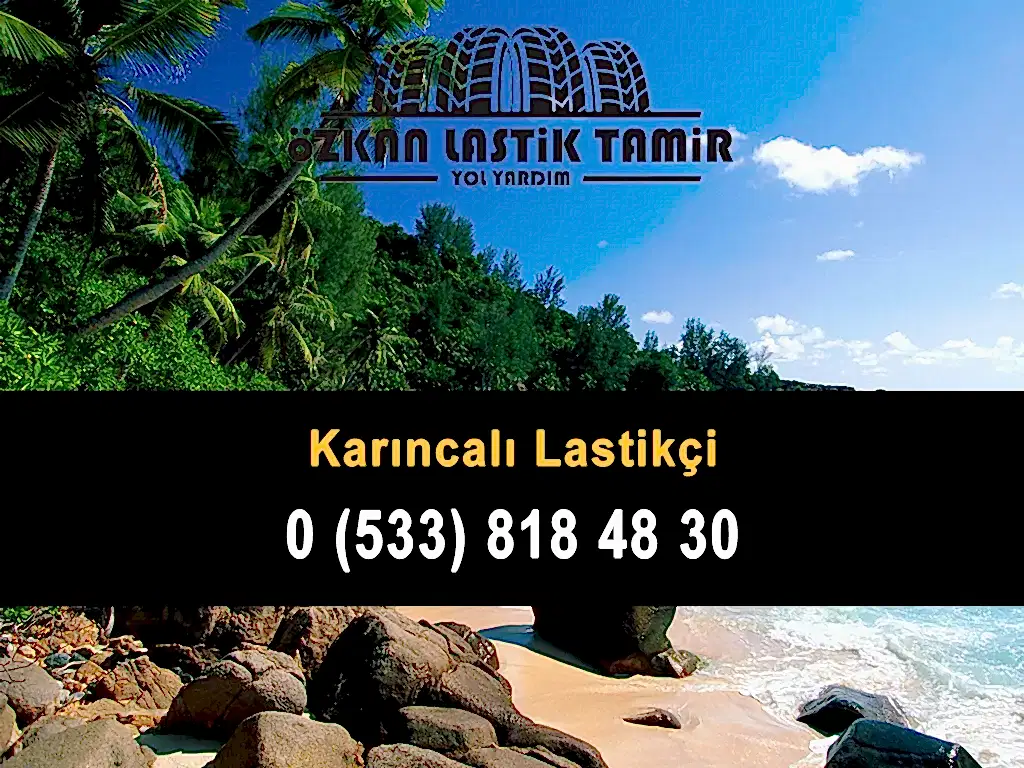 Karıncalı Lastikçi