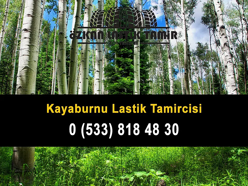 Kayaburnu Lastik Tamircisi