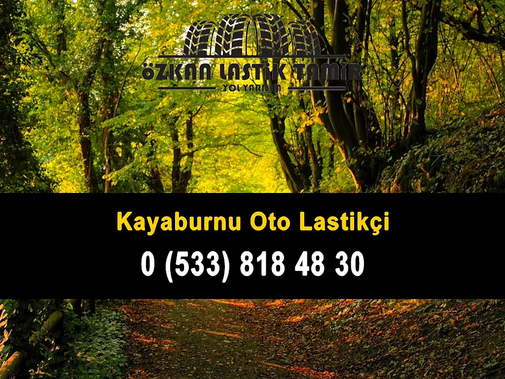 Kayaburnu Oto Lastikçi