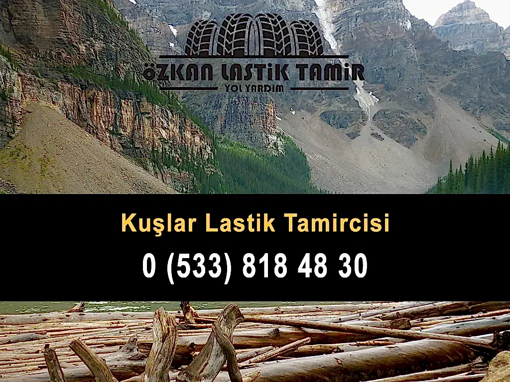 Kuşlar Lastik Tamircisi