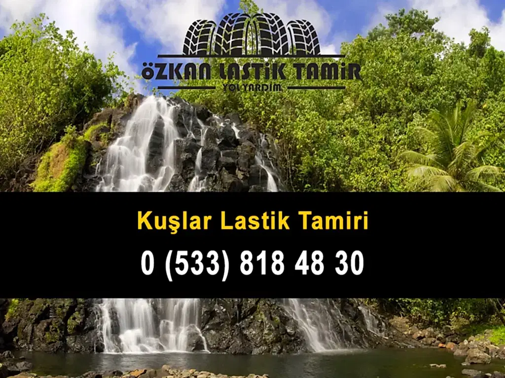 Kuşlar Lastik Tamiri