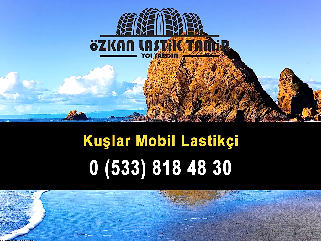 Kuşlar Mobil Lastikçi