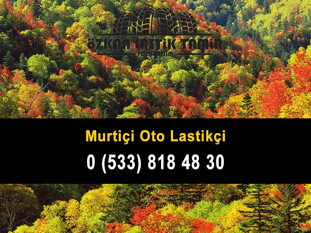 Murtiçi Oto Lastikçi