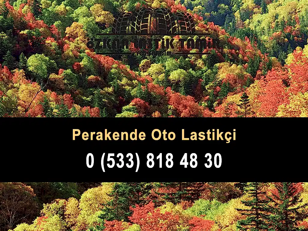 Perakende Oto Lastikçi