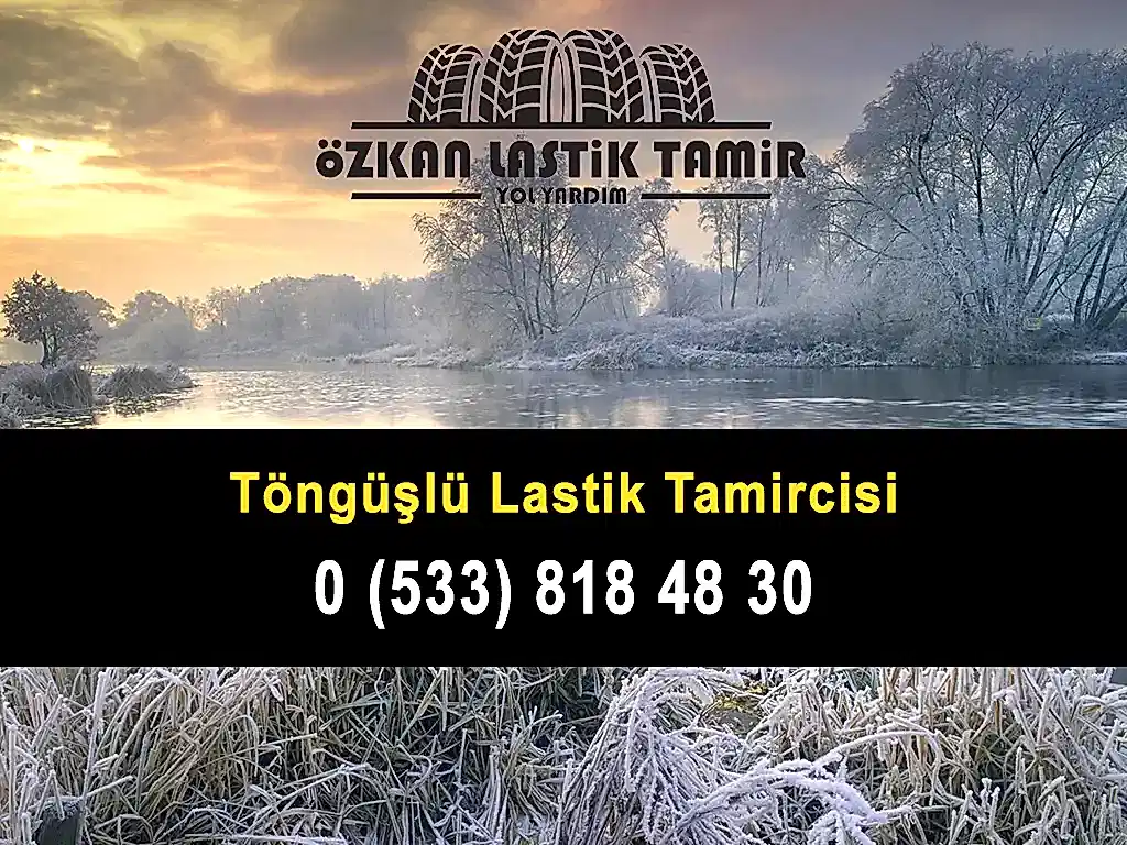 Töngüşlü Lastik Tamircisi